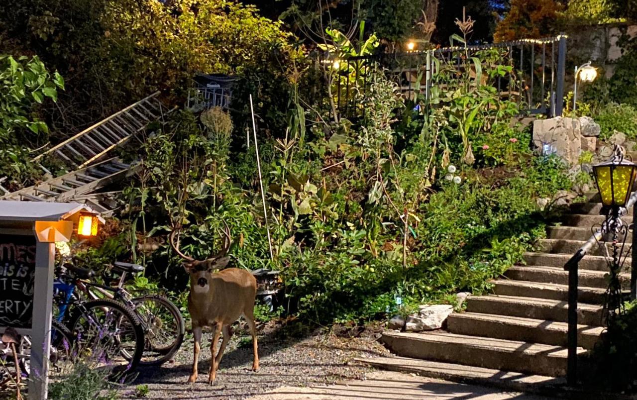Hudson Homes Bnb Saanich Bagian luar foto
